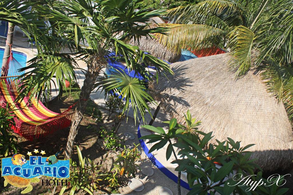 El Acuario Hotel Playa del Carmen Dış mekan fotoğraf