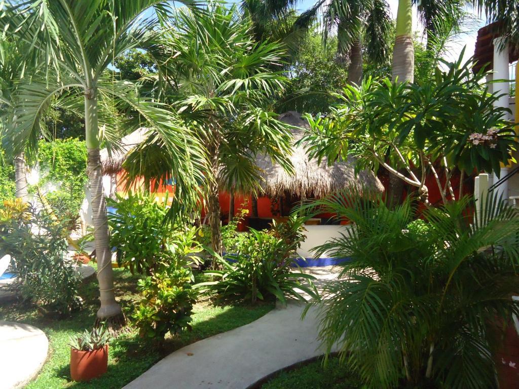 El Acuario Hotel Playa del Carmen Dış mekan fotoğraf